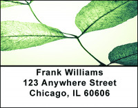 Mystical Foliage Address Labels | LBBAD-27