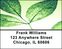 Mystical Foliage Address Labels | LBBAD-27