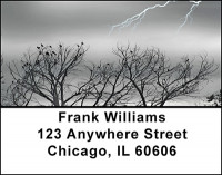 Lightning Storms Address Labels | LBBAD-53
