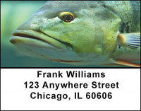 Bass Fishing Address Labels | LBBAE-40
