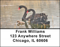 Swan Splendor Address Labels | LBBAE-41