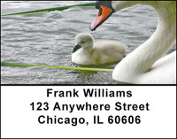 Swan Splendor Address Labels | LBBAE-41