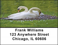 Swan Splendor Address Labels | LBBAE-41