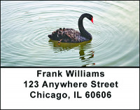 Black Swan Beauty Address Labels | LBBAE-42
