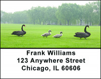 Black Swan Beauty Address Labels | LBBAE-42