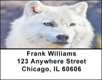 Arctic Wolves Address Labels | LBBAE-63