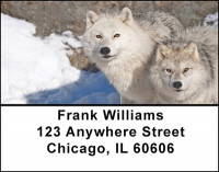 Arctic Wolves Address Labels | LBBAE-63