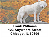 Arctic Wolves Address Labels | LBBAE-63