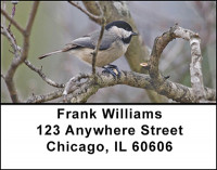 Hardy Winter Birds Address Labels | LBBAE-64