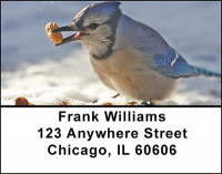 Hardy Winter Birds Address Labels | LBBAE-64