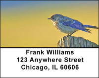 Bluebirds Beauty Address Labels | LBBAE-67