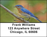Bluebirds Beauty Address Labels | LBBAE-67