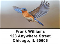 Bluebirds Beauty Address Labels | LBBAE-67