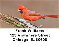 Cardinals With Character Address Labels | LBBAE-68