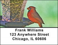 Cardinals With Character Address Labels | LBBAE-68