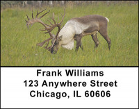 Caribou in the Wild Address Labels | LBBAE-69