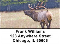 Caribou in the Wild Address Labels | LBBAE-69