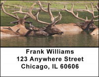 Caribou in the Wild Address Labels | LBBAE-69