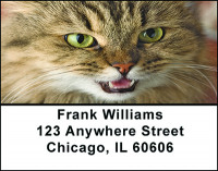 Kitty Cats Eyes Address Labels | LBBAE-70