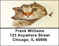Kitty Cats Eyes Address Labels | LBBAE-70