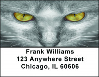 Kitty Cats Eyes Address Labels | LBBAE-70