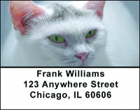 A Cat's Life Address Labels | LBBAE-71