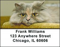 A Cat's Life Address Labels | LBBAE-71