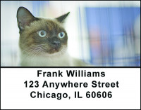 A Cat's Life Address Labels | LBBAE-71