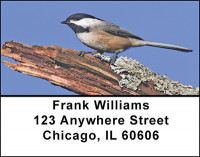 Cute Chickadees Address Labels | LBBAE-72