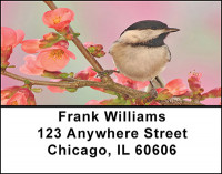 Cute Chickadees Address Labels | LBBAE-72