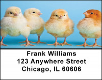 Chickens And Roosters Address Labels | LBBAE-73