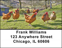 Chickens And Roosters Address Labels | LBBAE-73