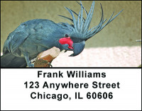 Cool Cockatoos Address Labels | LBBAE-74