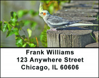 Cool Cockatoos Address Labels | LBBAE-74