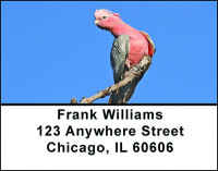 Cool Cockatoos Address Labels | LBBAE-74
