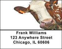 Crazy For Cows Address Labels | LBBAE-75