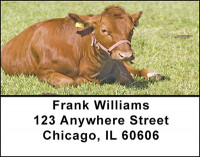 Crazy For Cows Address Labels | LBBAE-75