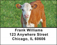 Crazy For Cows Address Labels | LBBAE-75