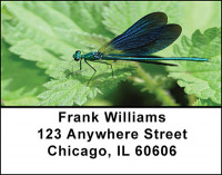 Dragon Fly Focus Address Labels | LBBAE-77