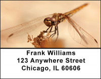 Dragon Fly Focus Address Labels | LBBAE-77