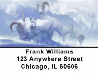 Animals In Winter Address Labels | LBBAE-78