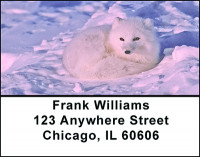 Animals In Winter Address Labels | LBBAE-78