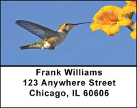 Busy Hummingbirds Address Labels | LBBAE-80