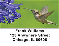 Busy Hummingbirds Address Labels | LBBAE-80