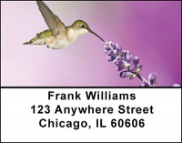 Busy Hummingbirds Address Labels | LBBAE-80