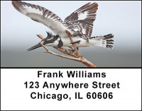 Tropical Kingfisher Birds Address Labels | LBBAE-81