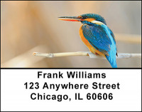 Tropical Kingfisher Birds Address Labels | LBBAE-81