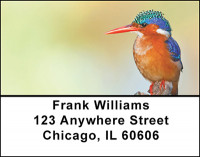 Tropical Kingfisher Birds Address Labels | LBBAE-81