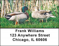 Dabbling Mallard Ducks Address Labels | LBBAE-82