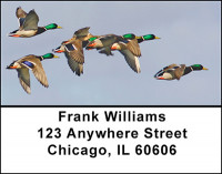 Dabbling Mallard Ducks Address Labels | LBBAE-82